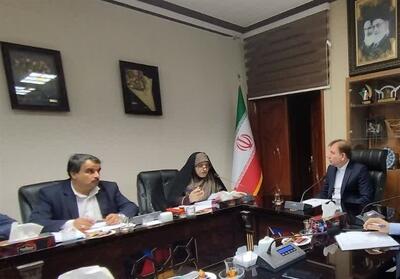  تسهیلات صندوق توسعه ملی برای حمایت از طرح‌های کارآفرینی ایثارگران - تسنیم