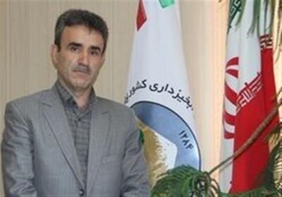 درختکاری پیوند انسان با طبیعت است - تسنیم