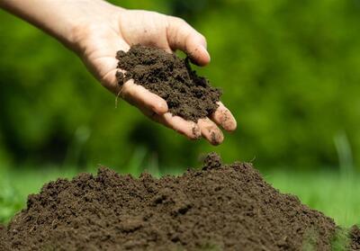 خاک سالم کلید تامین امنیت غذایی است؛ نباید به نقطه بی‌بازگشت برسیم - تسنیم