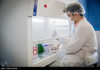 اعتبار اروپایی برای آزمایشگاه‌های مرجع ایران/ صادرات سالانه 100 هزار تن پسته از ایران - تسنیم