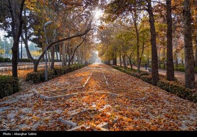 «آخر پاییز» در خراسان شمالی/ رقص رنگ‌ها در دامنه تا دشت تصاویر - تسنیم