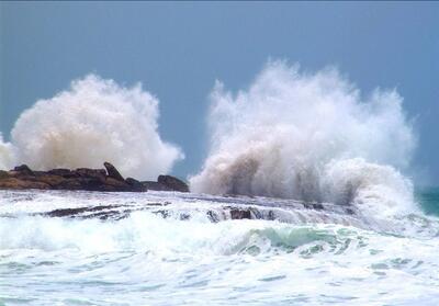 سواحل خلیج‌فارس استان بوشهر متلاطم شد - تسنیم