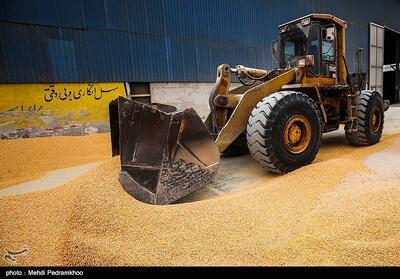 تبدیل گلستان به بارانداز غلات آسیای میانه/توجه دولت به احیای جاده ابریشم - تسنیم