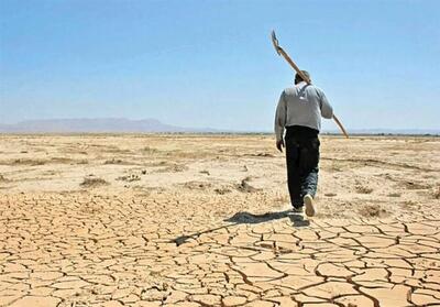 کاهش 50 درصدی تولیدات کشاورزی گلستان/ نگرانی استانداری برای 1405 - تسنیم