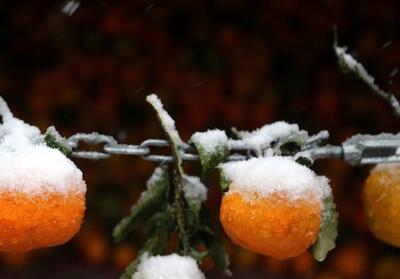 هواشناسی ایران 1404/9/19؛ فعالیت سامانه بارشی در 24 استان - تسنیم