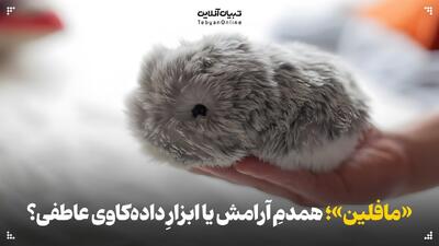 «مافلین»؛ همدمی برای تسکین یا ابزاری برای داده‌کاوی عاطفی؟
