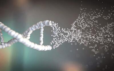  ساخت حسگرهای نورانی برای ردیابی شکست DNA و مشاهده فرایند ترمیم + ویدیو