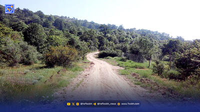 آسفالت منطقه حفاظت‌شده استعلام قانونی دارد