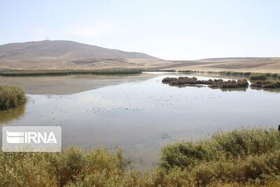  نزولات آسمانی حیات دوباره به تالاب کانی‌برازان مهاباد بخشید