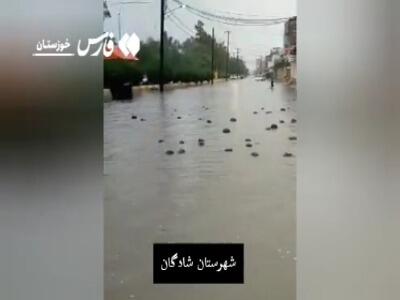  آبگرفتگی در معابر شادگان