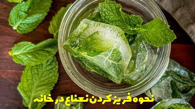  نحوه فریز کردن نعناع در خانه و کاربرد های آن + توضیحات ترفند نکات