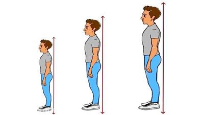 بهترین مواد غذایی برای افزایش قد کودک
