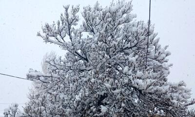 حجم نیم متری برف در این نقطه از ایران جلب توجه کرد