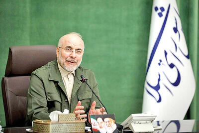 لایحه حمایت از زنان تعیین تکلیف شود