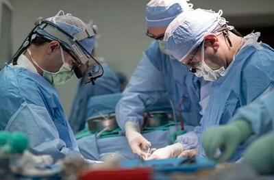 هزینه پیوند اعضای بدن در ایران چقدر است؟