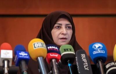 انصاری: حملات اخیر اسرائیل محیط‌زیست ایران را با بحران مواجه کرده است