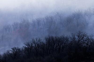 وقوع آتش در بخشی از جنگل‌های عباس‌آباد مازندران