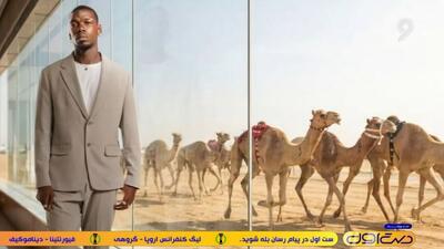 محوطه جریمه/ از شتر سواری پوگبا تا شکایت از اینفانتینو