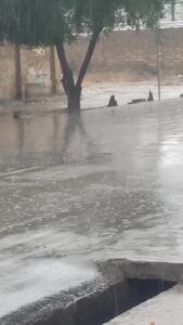  بارش باران هم اکنون در رامهرمز + فیلم