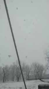  بارش برف در تویسرکان همدان + فیلم