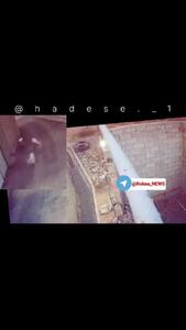  نجات دختر بچه از حمله سه سگ رها شده در مسیر بازگشت از ⁧مدرسه⁩ + فیلم