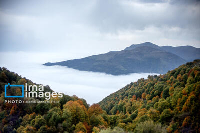 گردشگری مسئولانه؛ پیشران حفاظت از جنگل‌های هیرکانی