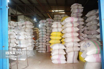  توقیف محموله ۱۰ میلیاردی برنج قاچاق در قم