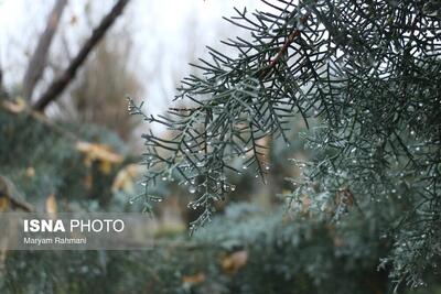  هشدار سطح زرد هواشناسی در گلستان/ ورود سامانه سرد و بارشی