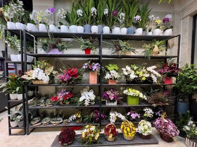 قیمت انواع گل در روز مادر: عرضه کافی و قیمت‌های متعادل