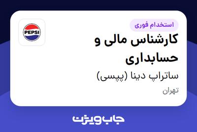  استخدام کارشناس مالی و حسابداری در ساتراپ دینا (پپسی)