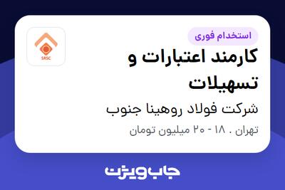  استخدام کارمند اعتبارات و تسهیلات در شرکت فولاد روهینا جنوب