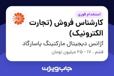  استخدام کارشناس فروش (تجارت الکترونیک) - خانم در آژانس دیجیتال مارکتینگ پاسارگاد