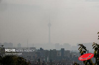 از استرس تا سرطان؛ آلودگی هوا چه بلایی سر بدن می‌آورد؟ - کلبه سرگرمی
