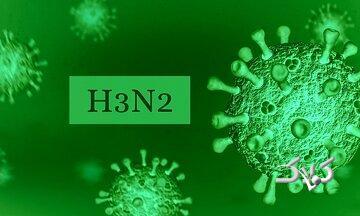 شیوع گسترده آنفلوآنزا در کشور؛ آیا هنوز هم می‌توانیم واکسن بزنیم؟ - مجله اینترنتی کولاک