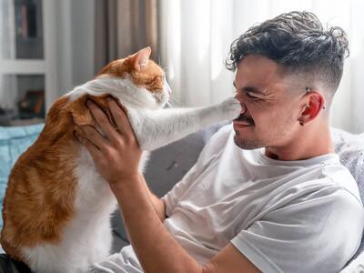 راز رفتار متفاوت گربه‌ها با زنان و مردان - مجله اینترنتی کولاک