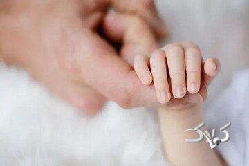 سبقت مرگ از تولد در این استان شمالی کشور - مجله اینترنتی کولاک