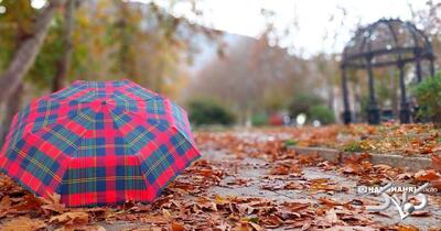 بارش ها تا هفته آینده ادامه دارد | هوا از دوشنبه سرد می شود - مجله اینترنتی کولاک