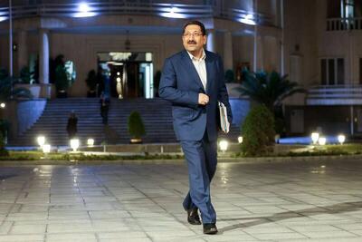 هیچستانی به نام  وزارت صمت / زنی که علیه نظام اسلامی بر شتر جمل نشست!