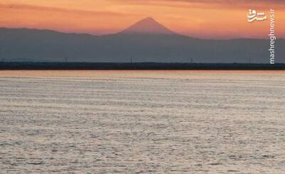 تصاویر دیدنی از شکوه فلامینگوهای میانکاله