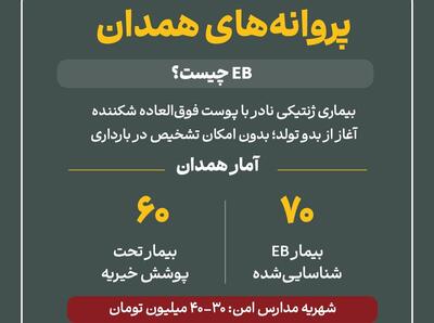  اینفوگرافیک؛ مشکلات بیماران پروانه‌ای همدان