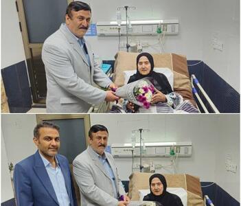  فرماندار دیلم با مادر شهید بازویی دیدار کرد