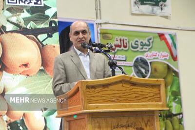  حق شناس: ۲۰۰ هزار تن کیوی در گیلان برداشت می‌شود