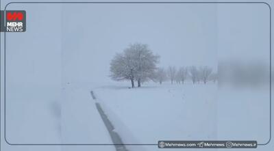  سفیدپوش شدن روستای نوروزآباد