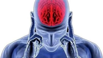  آیا مغز انسان تنها با 10 درصد ظرفیتش کار می‌ کند؟