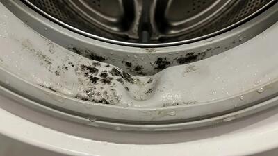 چگونه لاستیک ماشین لباسشویی را تمیز کنیم؟ راهنمای حذف بوی بد و جرم