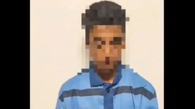 پرونده قتل خانوادگی در انتظار تصمیم دو عموی قاتل