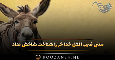  معنی ضرب المثل خدا خر را شناخت شاخش نداد | داستان و انشا