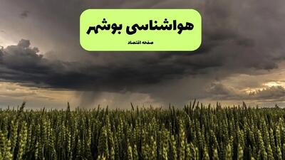 پیش بینی وضعیت آب و هوا بوشهر فردا جمعه ۲۱ آذر ۱۴۰۴ + هواشناسی بوشهر