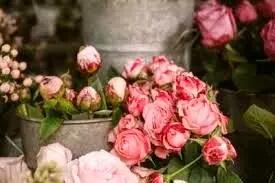 سبدهای گل، میلیونی شد