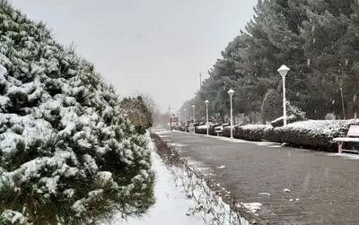 بارش برف در همدان